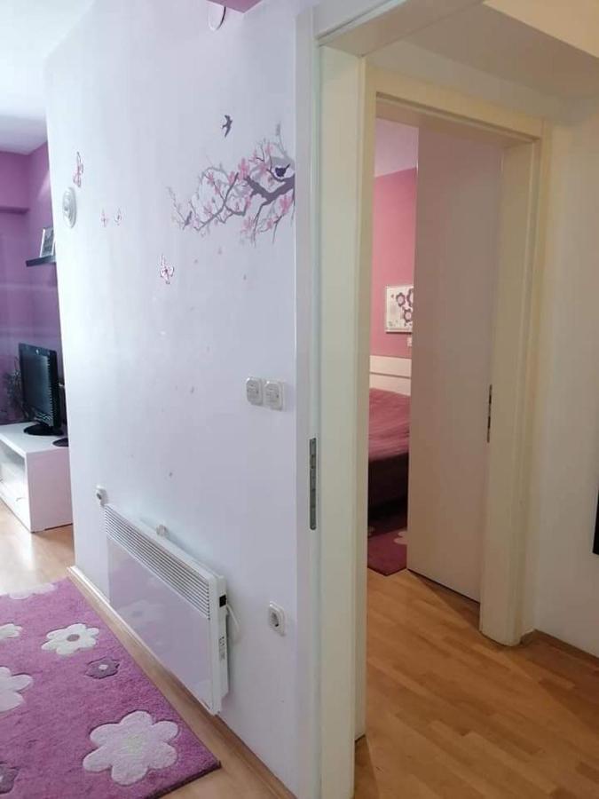 Apartments Nela オフリド エクステリア 写真